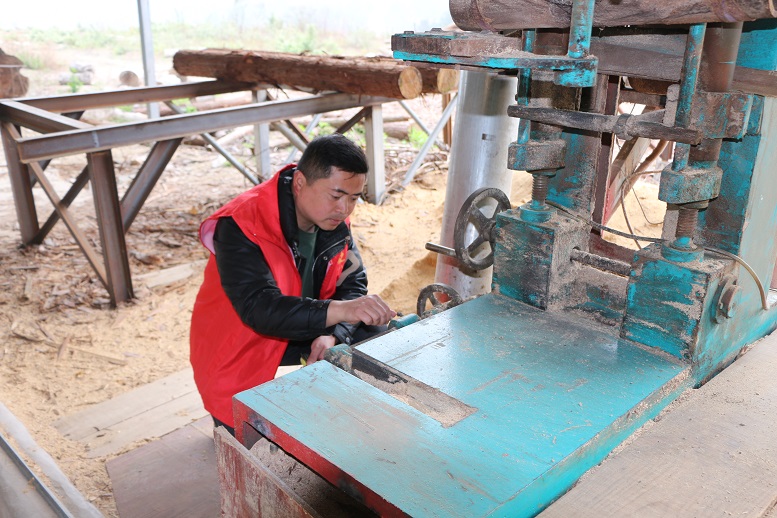 ”鐵甲護衛(wèi)隊“在木材加工廠排查維護解板機.JPG