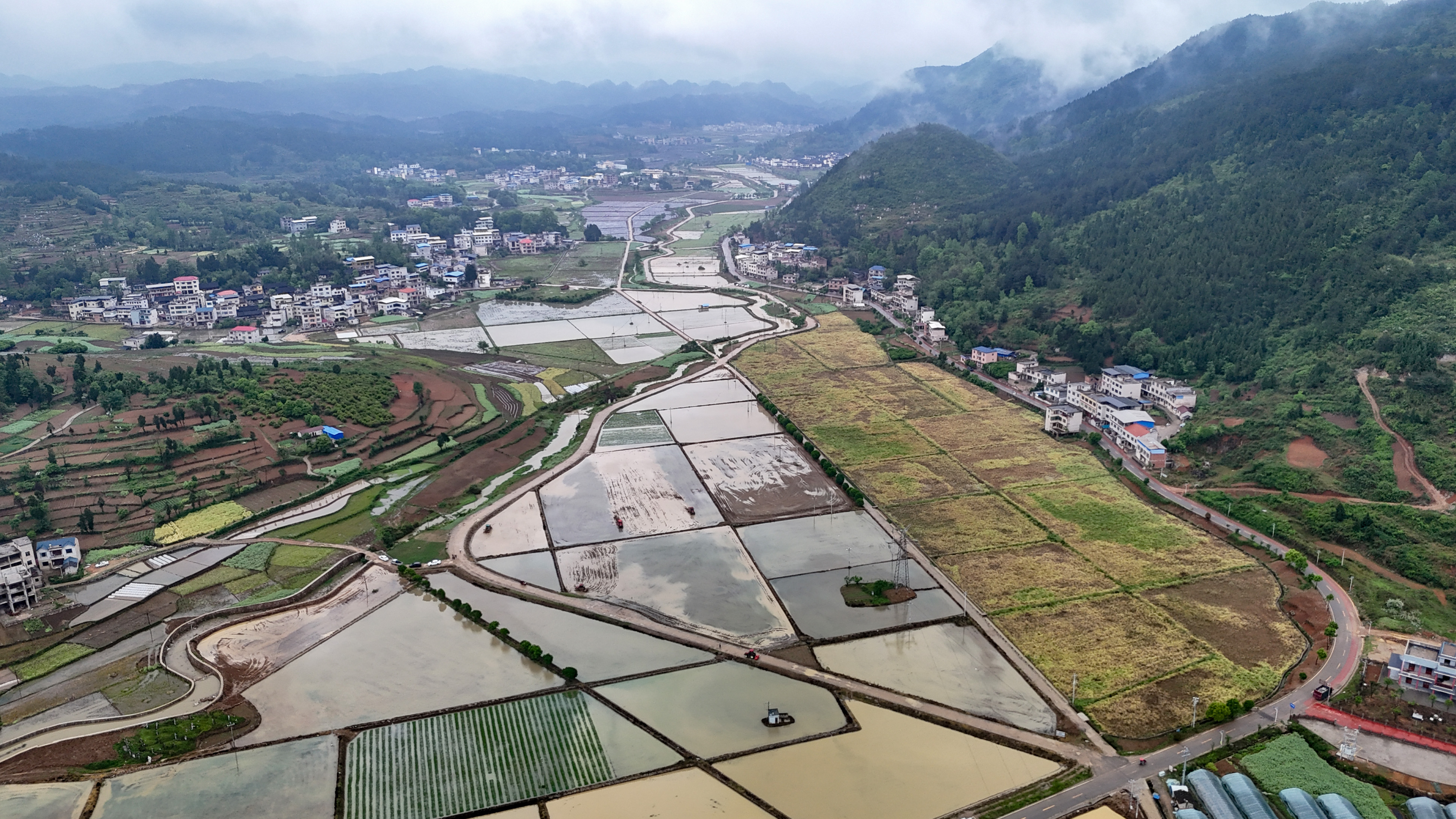 20250422，4月22日，农机人员在贵州省黔东南苗族侗族自治州岑巩县水尾镇大树林村水稻制种基地驾驶旋耕机翻犁土地。杨树摄 (1).JPG