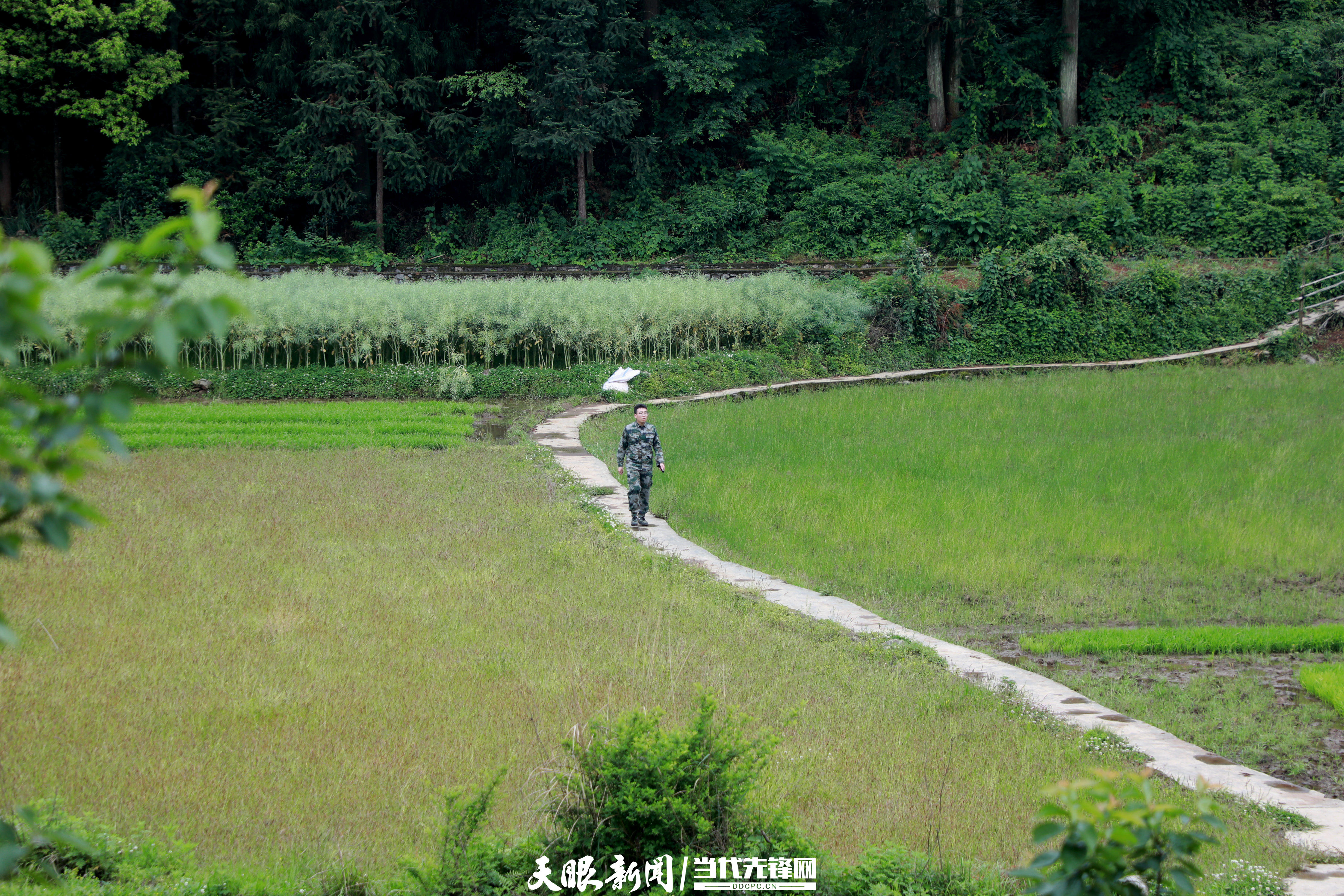 9U4A5406.JPG