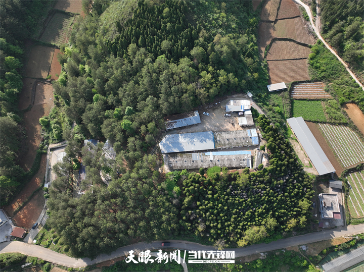 DJI_0403.JPG