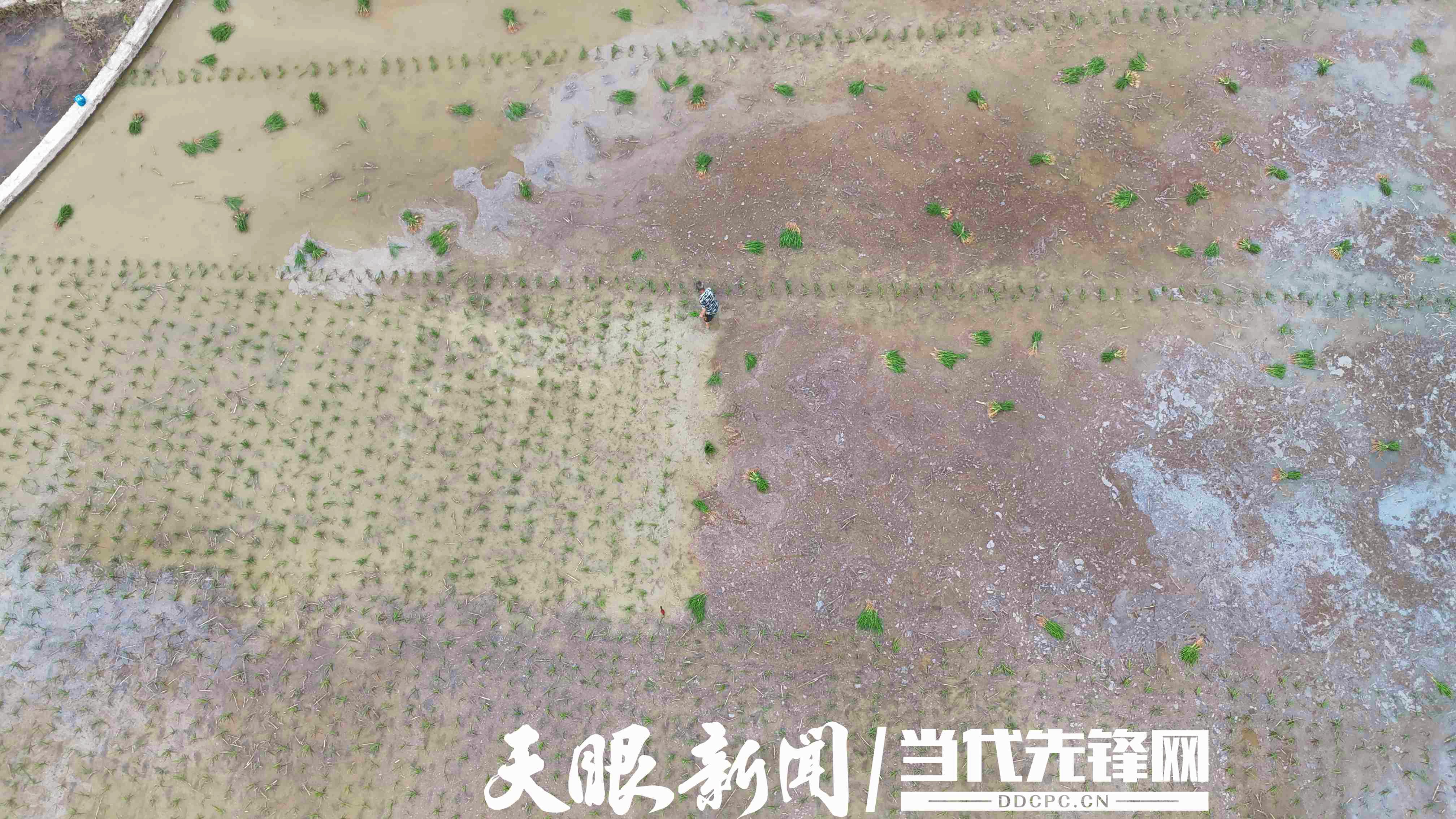 DJI_20250518173459_0511_D.JPG
