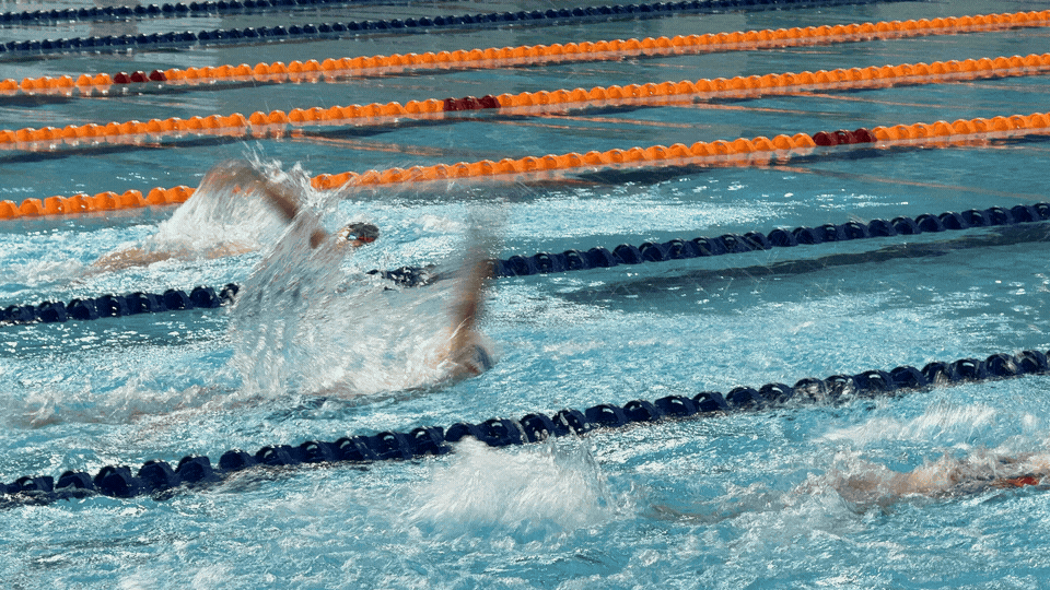 IMG_8190.GIF