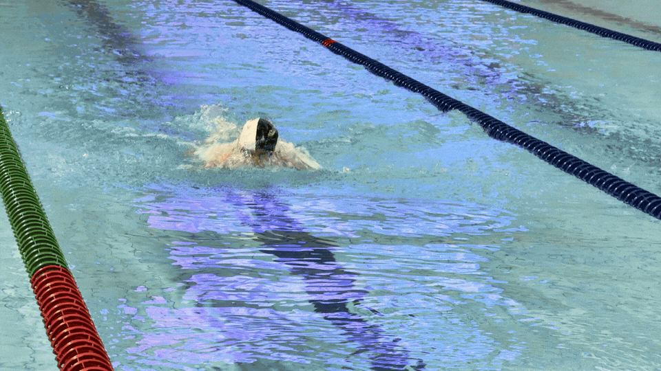 IMG_8194.GIF