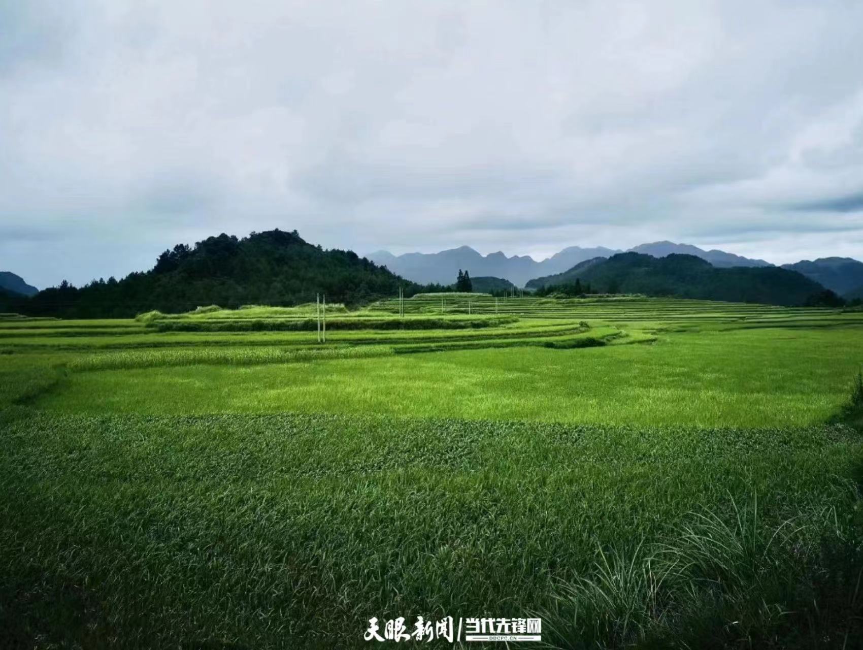 d010ee7d33ead3231ab675afddacf23.jpg