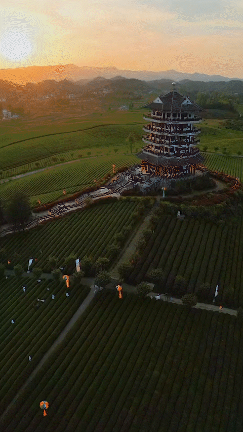 copy_1D9AB7B2-6076-4A51-8E9B-C9473D5D4AD1.gif