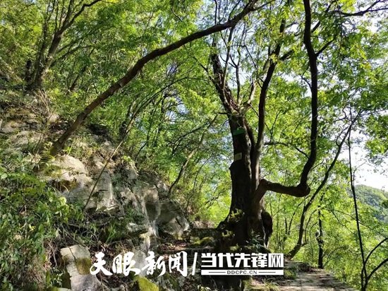 微信圖片_20240612123512.jpg