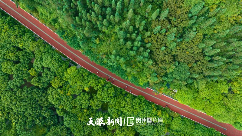 2023年9月4日拍攝的貴州興義萬(wàn)峰林半馬賽道沿線照片（葉順強(qiáng) 攝）.jpg