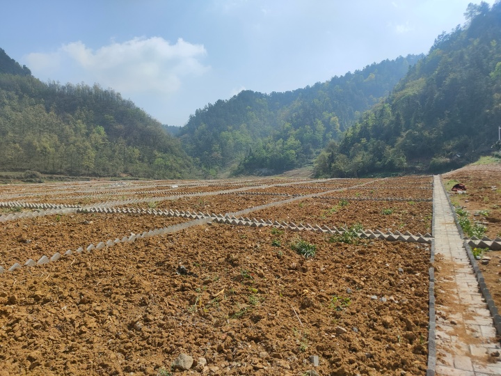 甕安縣映山紅社區(qū)“微田園”項目_副本.jpg