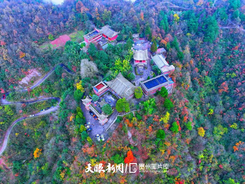 808120-秋天的金鳳山.jpg