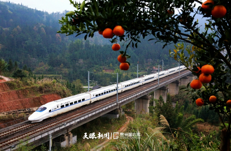 圖17：2018年12月12日，貴廣高鐵一列動車從榕江縣平江鎮(zhèn)加會堡的果樹園旁穿越。李長華 攝.jpg