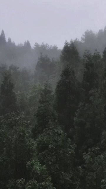 圓盤_1.gif