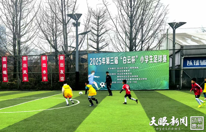 图片2_副本.png