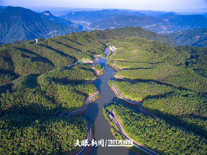 370760-《赤水竹海風(fēng)光》王先龍攝.jpg