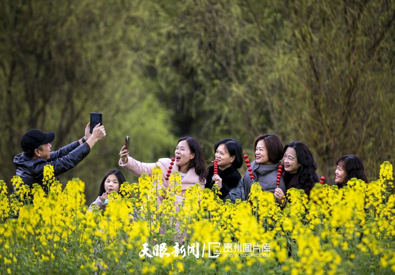 854067-2025年3月15日，游客在貴州省畢節(jié)市黔西市洪水鎮(zhèn)鄉(xiāng)村旅游景區(qū)油菜花田里拍照。.jpg