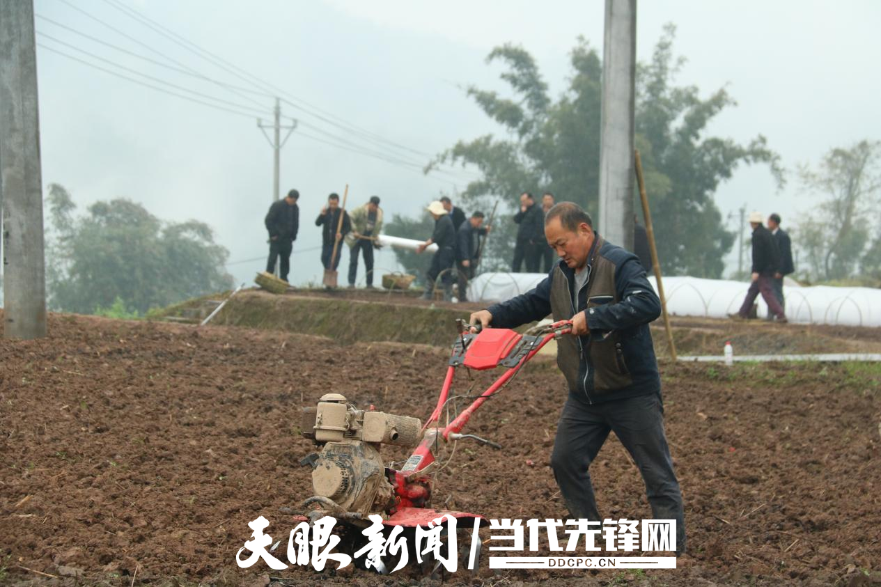 赤水市長期鎮(zhèn)：田間課堂助春耕，人勤春早謀豐年.png