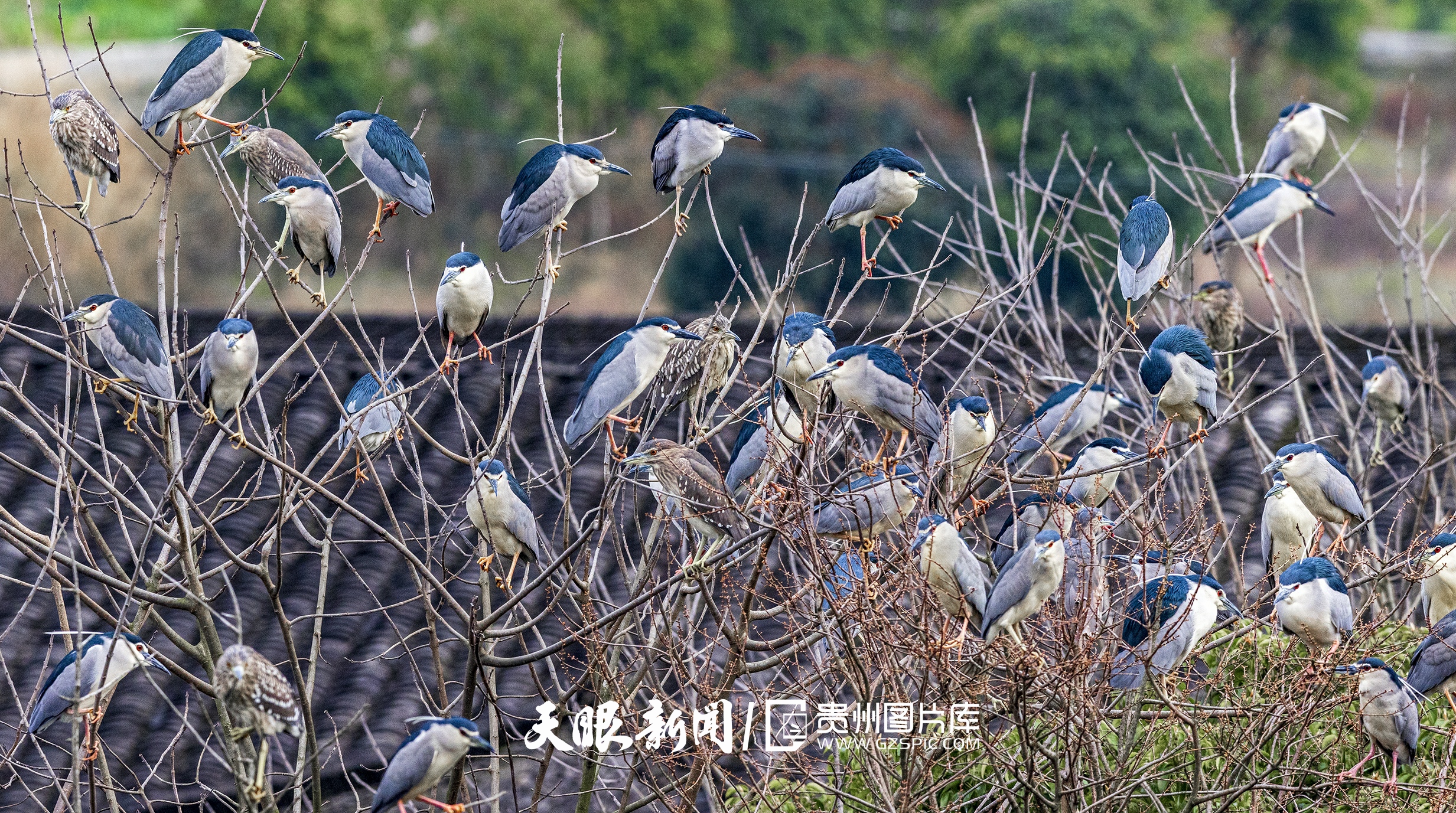 微信圖片_20250320110736.jpg