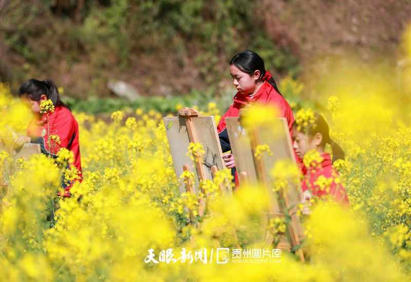 855297-2025年3月19日，貴州省從江縣剛邊壯族鄉(xiāng)中心小學(xué)學(xué)生在油菜花田間寫生。.jpg