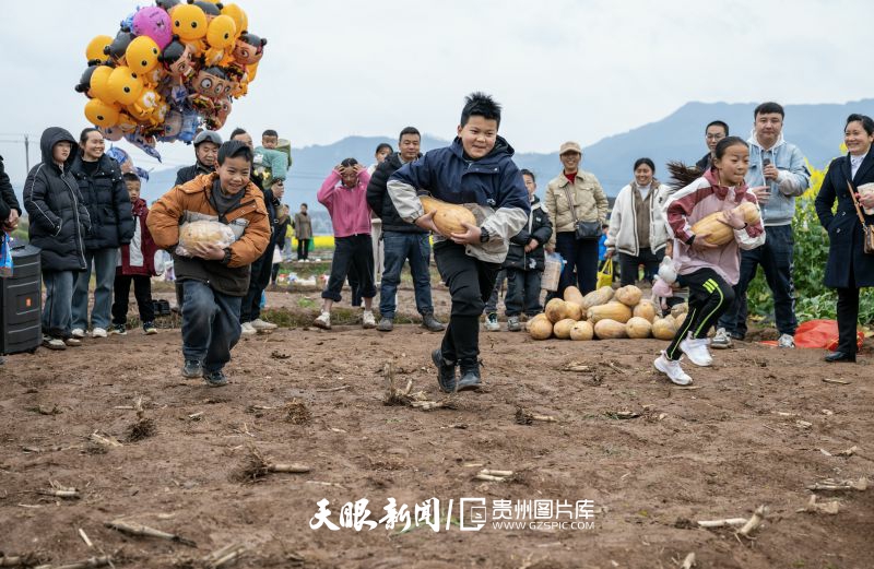 855082-小朋友們抱著南瓜在地里奔跑。.jpg
