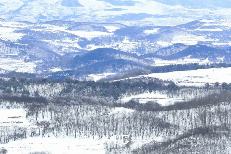 855398-2025年3月19日，貴州省畢節(jié)市威寧自治縣雪山鎮(zhèn)灼甫村灼甫草場迎來初春降雪。灼甫草場海拔超2500米，雪后的大地宛如素色綢緞，草場邊緣的灌木叢掛滿霧凇，與遠(yuǎn)處山巒的積雪遙相呼應(yīng)。(1).jpg