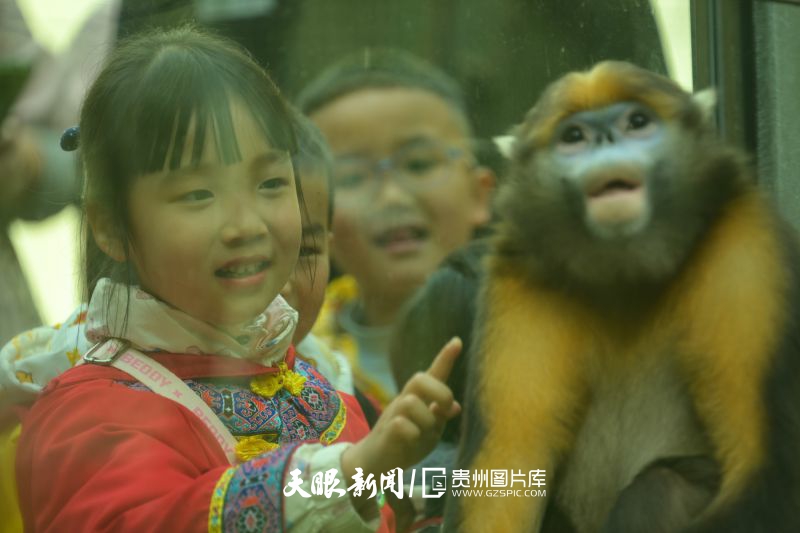 855605-2025年3月19日，小朋友在貴州梵凈山國家級自然保護(hù)區(qū)黔金絲猴研究中心參加自然教育活動。.jpg