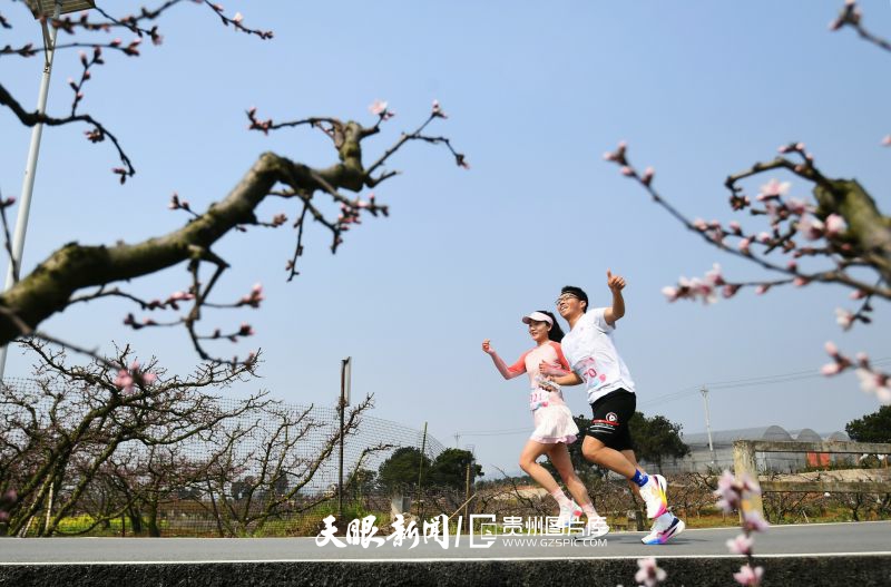856602-3月22日，跑步愛好者正參加貴陽市南明區(qū)第七屆永樂桃花跑。.jpg