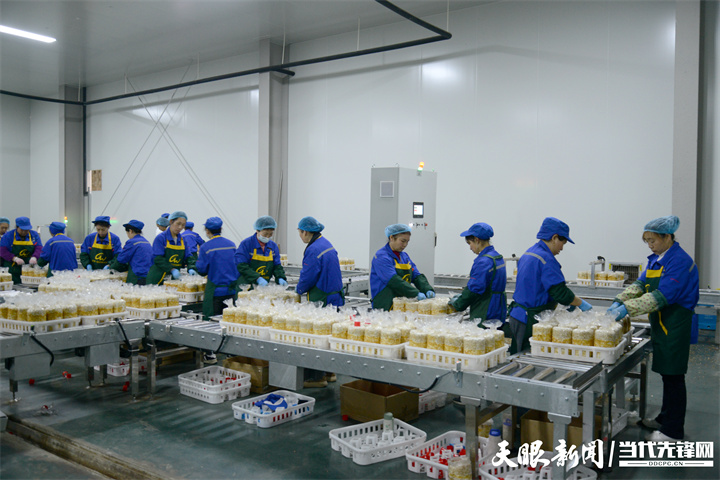 貴州貴旺生物科技有限公司一期工人正在制作菌包.jpg