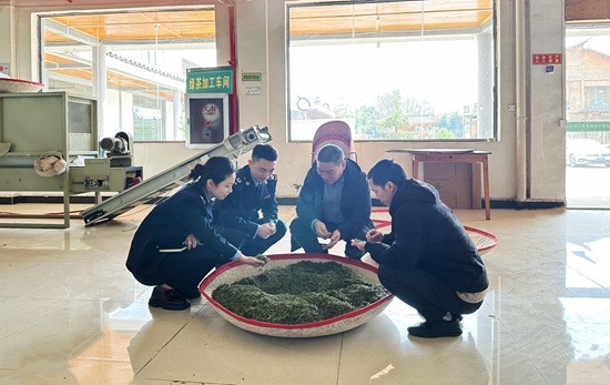 國家稅務總局鳳岡縣稅務局聚焦茶企發(fā)展需求，精準服務茶企。.jpg