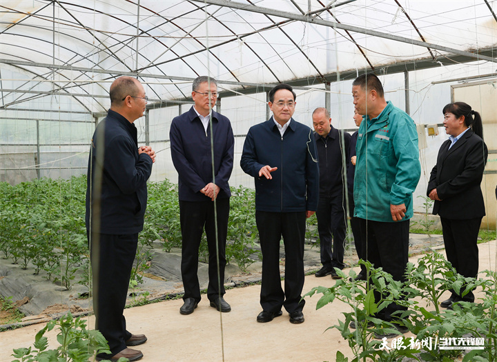 圖為徐麟在播州區(qū)楓香鎮(zhèn)花茂村綠動(dòng)九豐蔬菜種植專(zhuān)業(yè)合作社考察，聽(tīng)取合作社發(fā)展經(jīng)營(yíng)情況匯報(bào)。.jpg