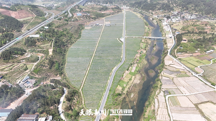 DJI_20250415142959_0493_D.jpg