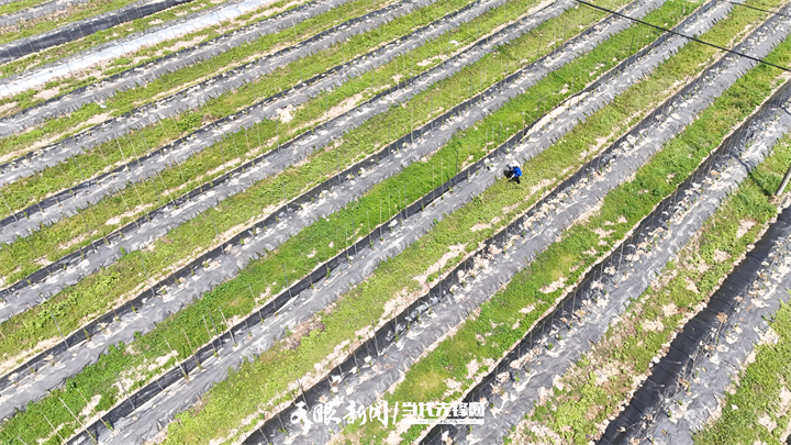DJI_20250415143258_0502_D.jpg