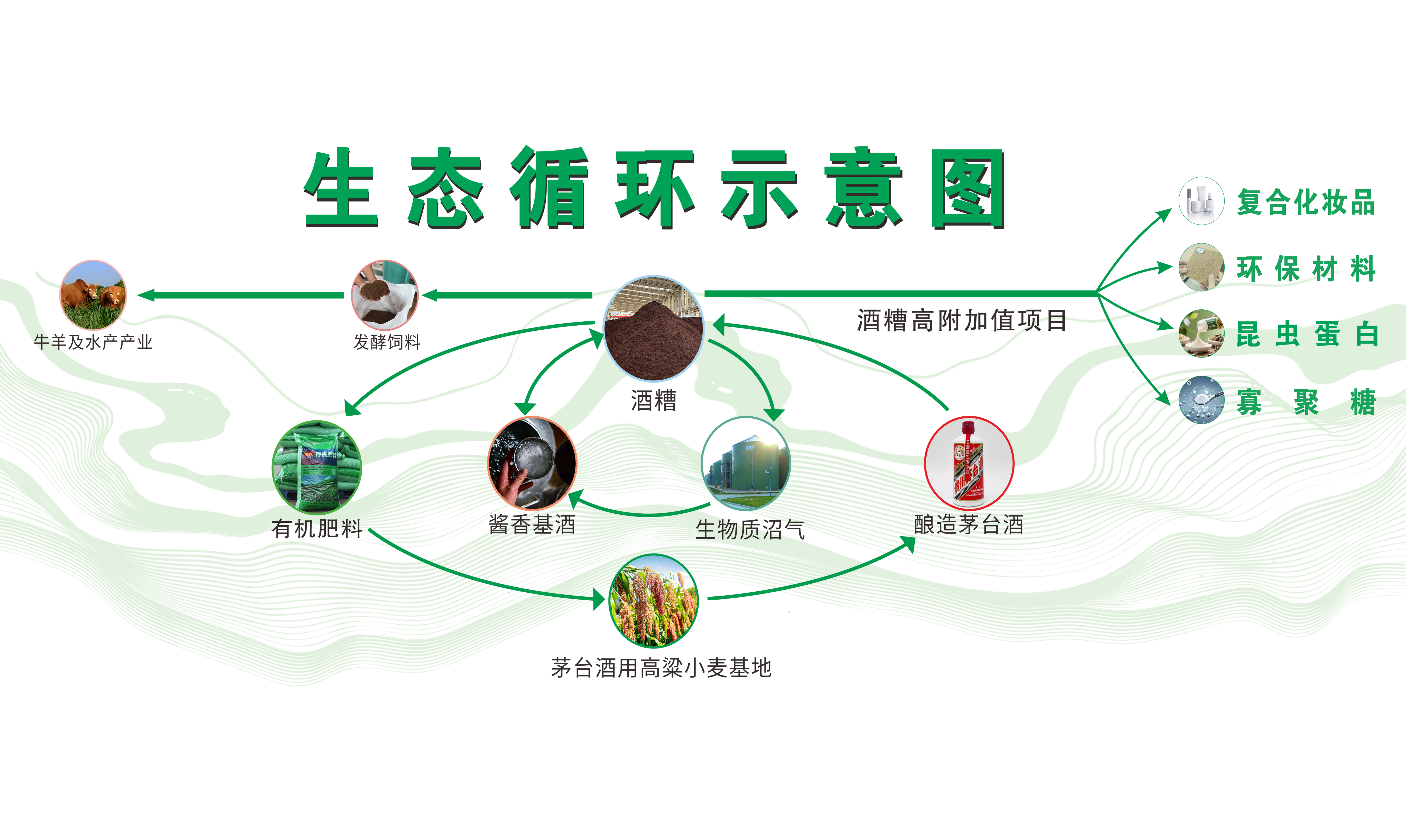 双循环生态示意图.png