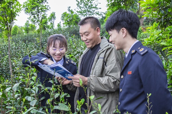 興義市稅務(wù)局稅務(wù)干部走進(jìn)綠茗茶業(yè)生態(tài)基地了解企業(yè)生產(chǎn)經(jīng)營(yíng)情況，現(xiàn)場(chǎng)詳細(xì)講解納稅信用等級(jí)評(píng)定政策與銀稅互動(dòng)相關(guān)知識(shí)。（張松 攝）.jpg