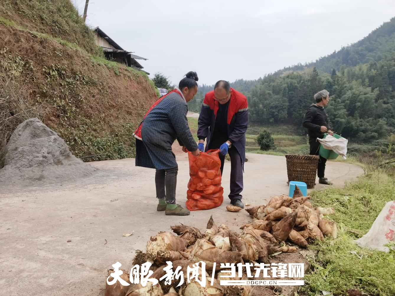 遵義市赤水市元厚鎮(zhèn)：“筍經(jīng)濟(jì)”助力鄉(xiāng)村振興.png
