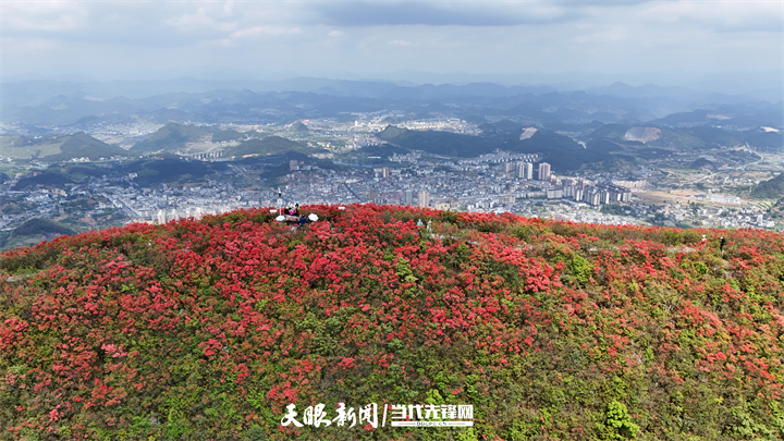 DJI_20250428150138_0654_D.jpg