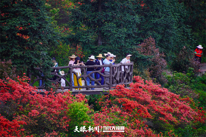 DSC08504.jpg