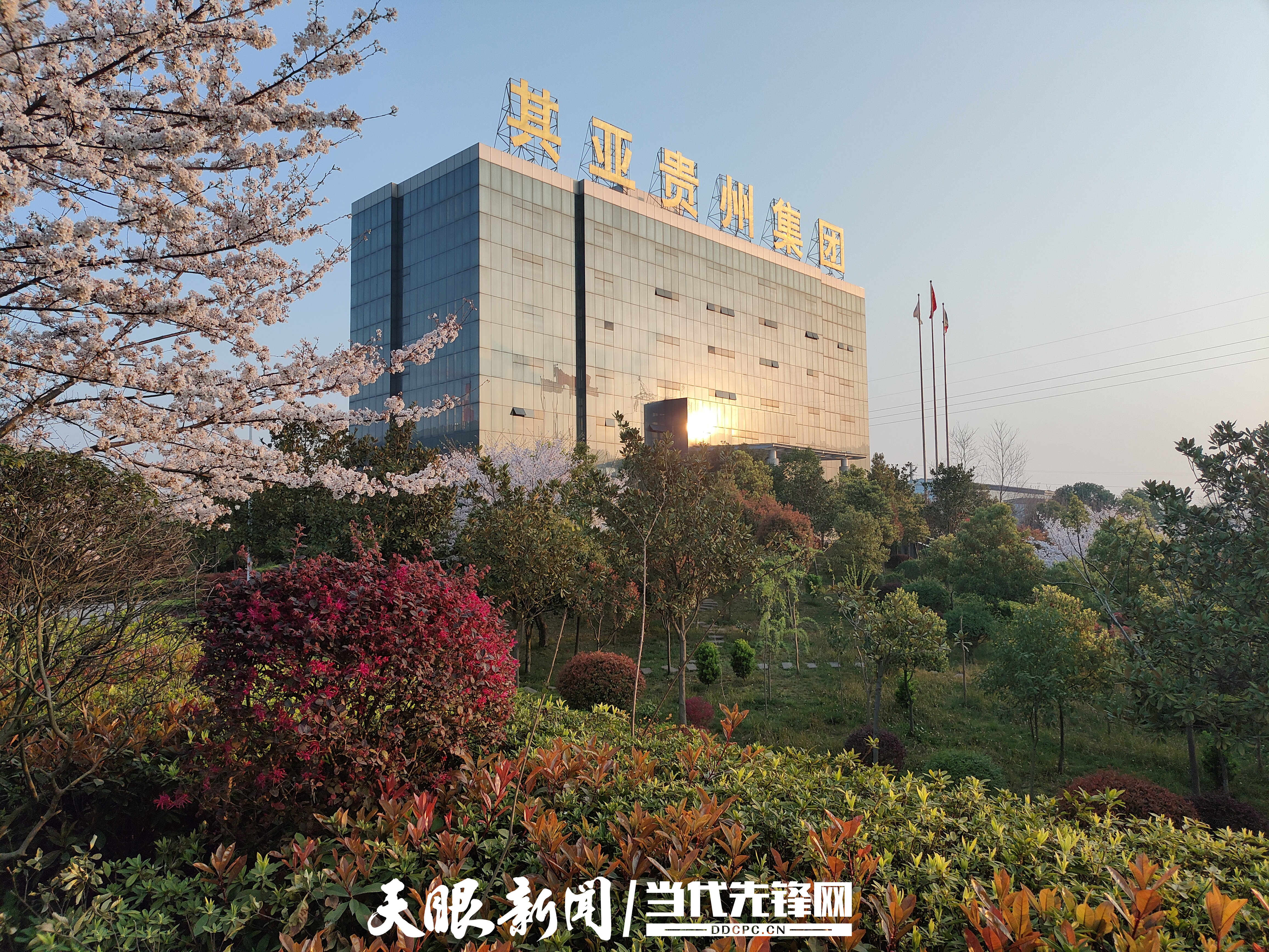 其亞貴州集團(tuán)1.jpg