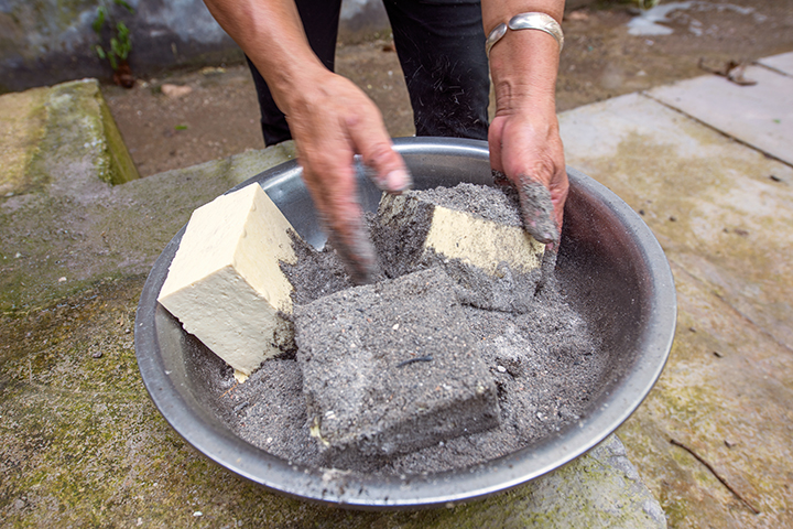 DSC_2913灰拔豆腐5---張旭東（攝）.jpg