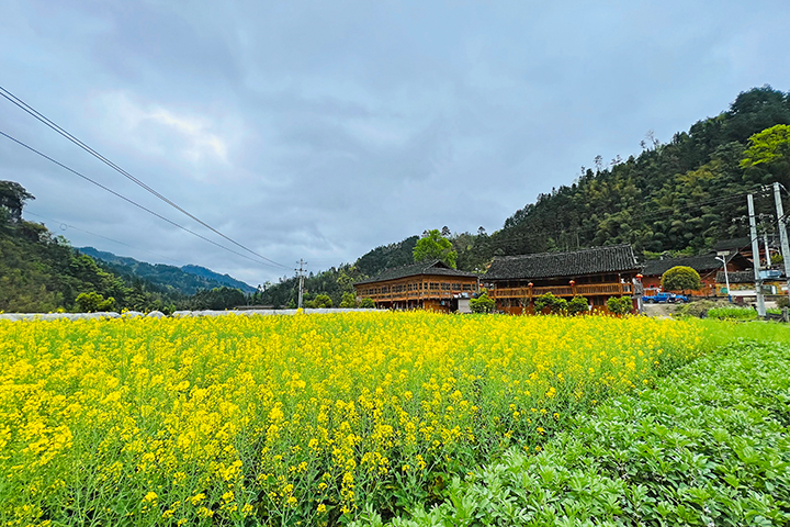 麻江縣復(fù)興村8.jpg