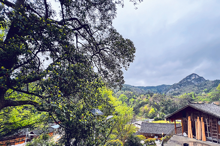 麻江縣復(fù)興村5.jpg