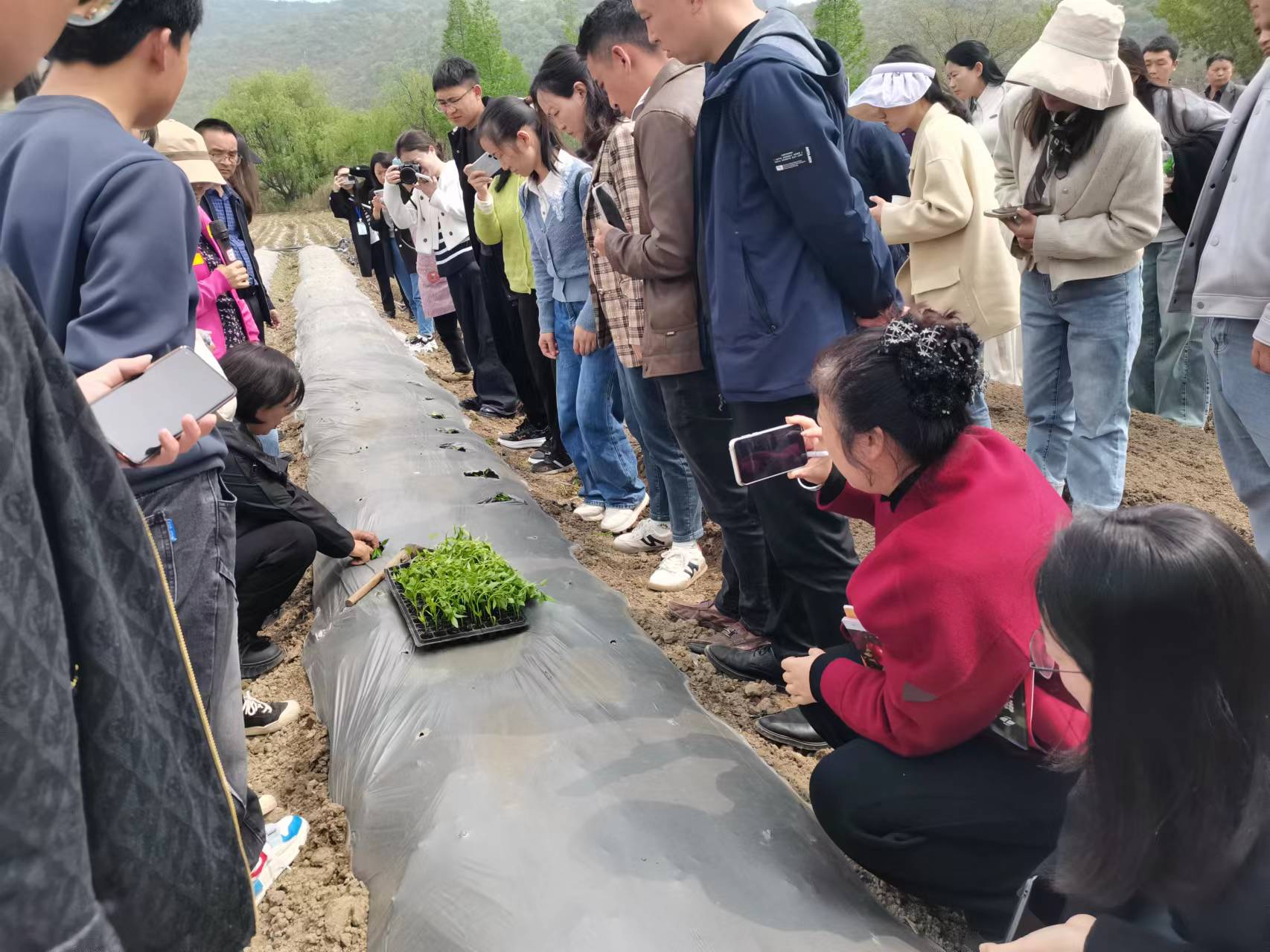 微信图片_20250519160006.jpg