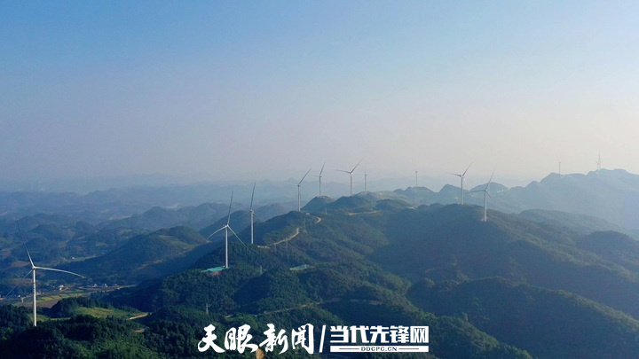楓樂風(fēng)電場3.jpg