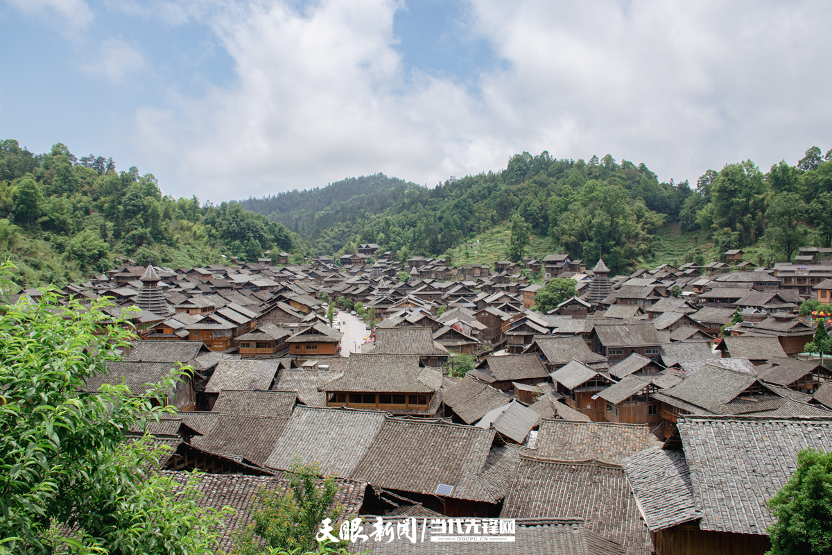 DSC_080811.png
