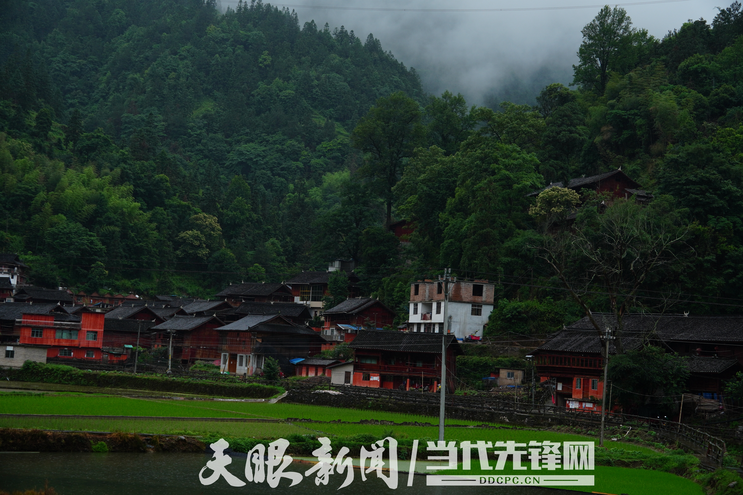 DSC09395.jpg