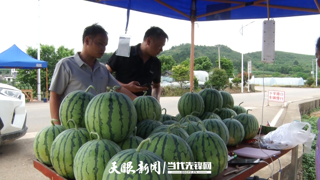微信图片_20250523094928.jpg
