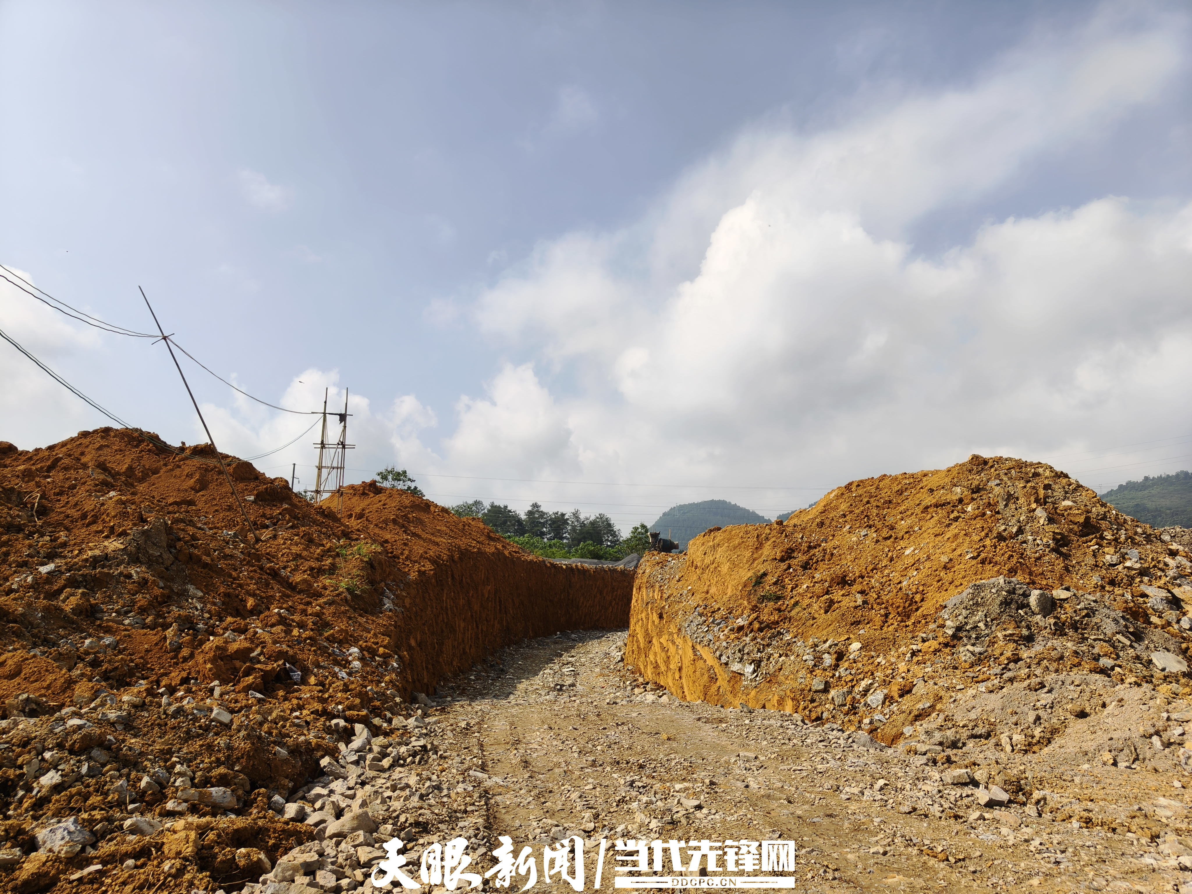 天螢新材料1.jpg
