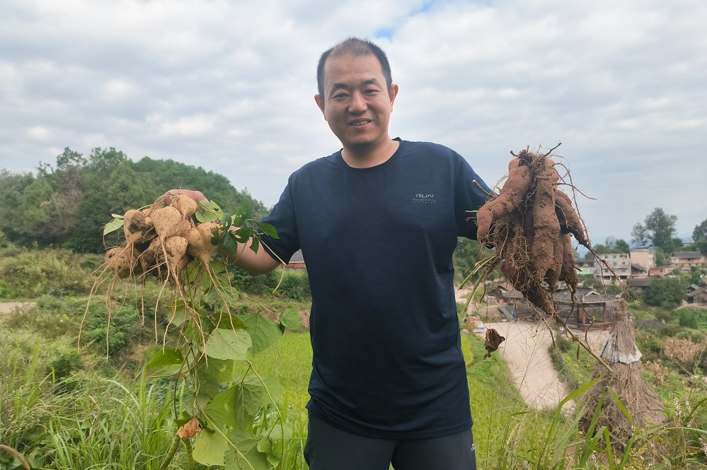 陳耀魯展示新鮮的高山紫薯。.jpg