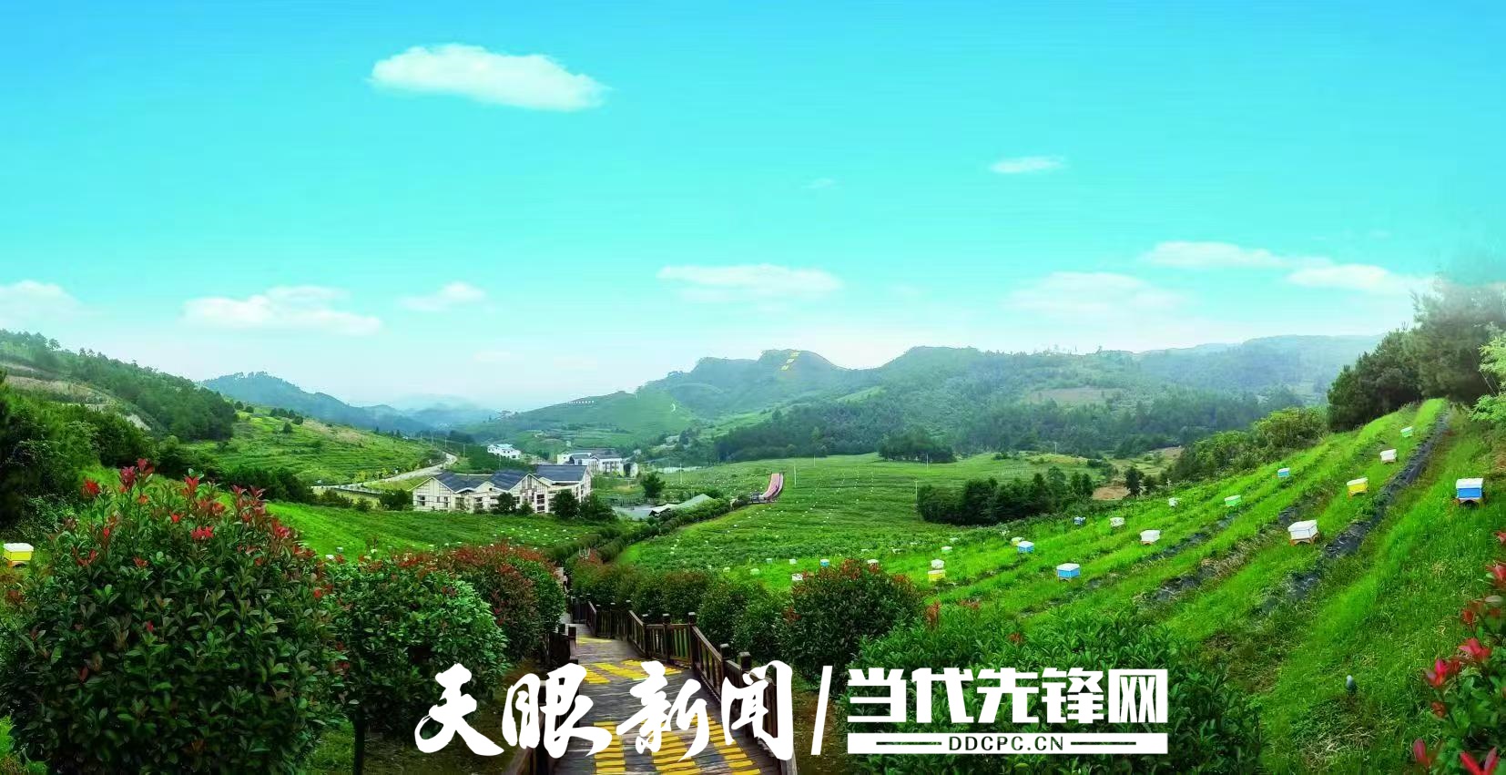 微信圖片_20250611225735.jpg