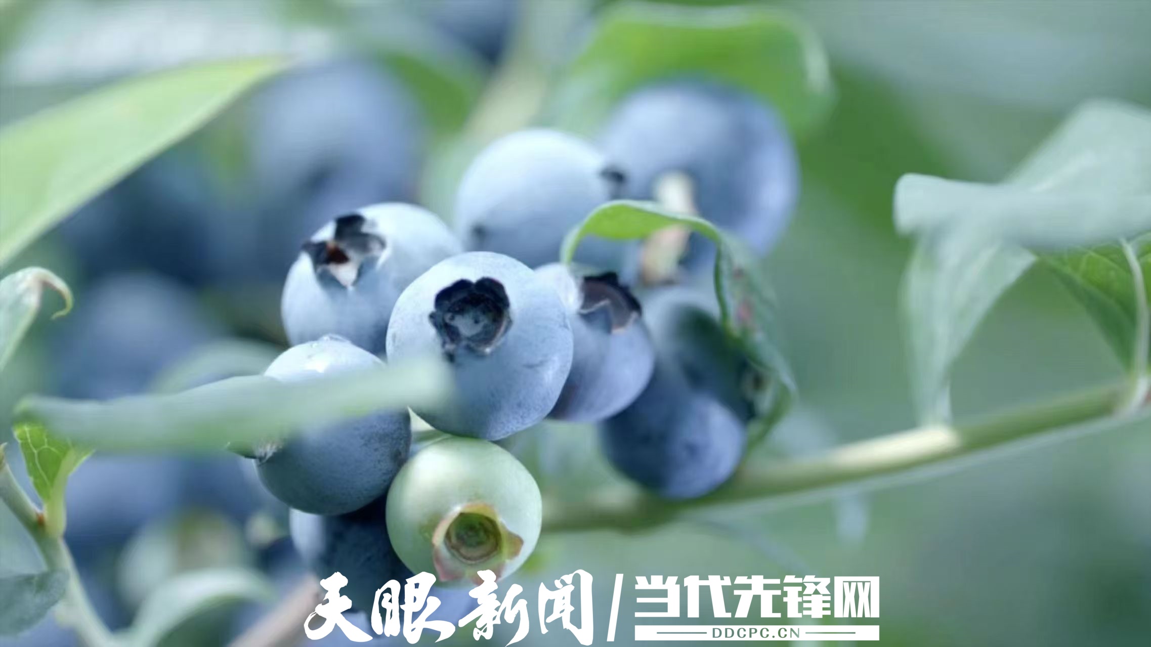 微信圖片_20250611225728.jpg