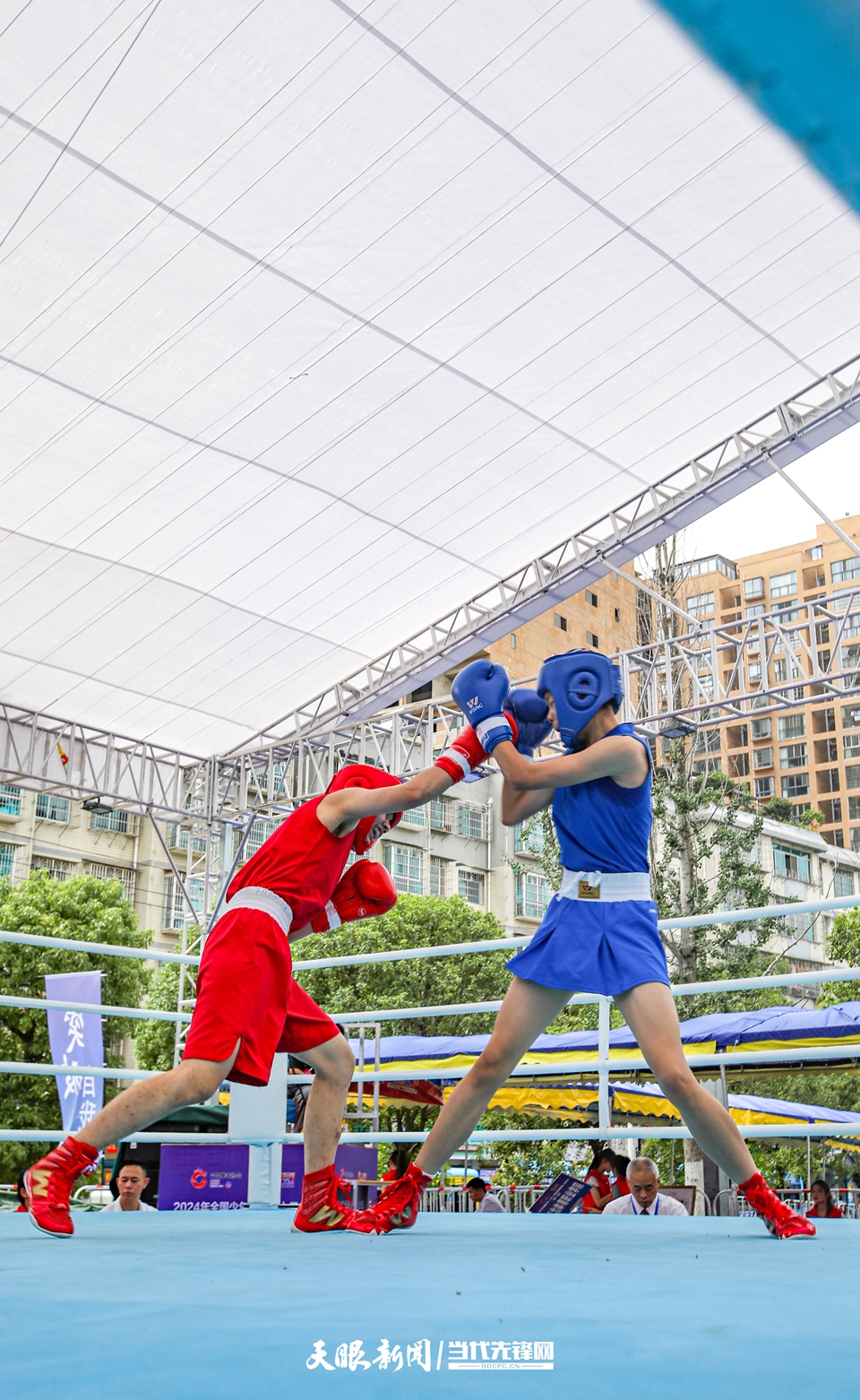 SYC_2802.jpg