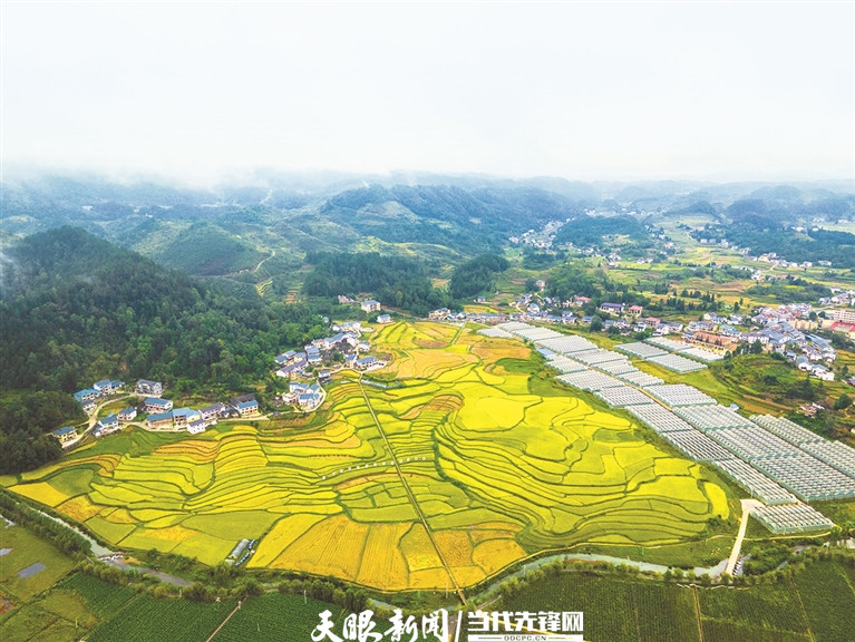 花茂村田園風(fēng)光美如畫。 羅星漢 攝.jpg